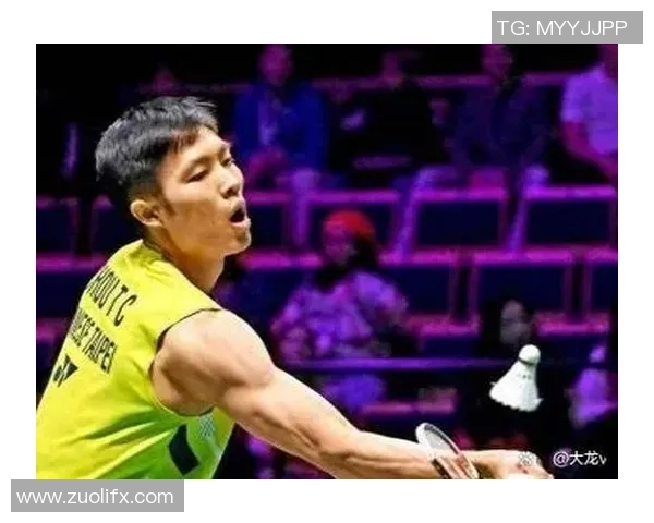 北京羽毛球队在奥运会上的节奏表现分析与点评